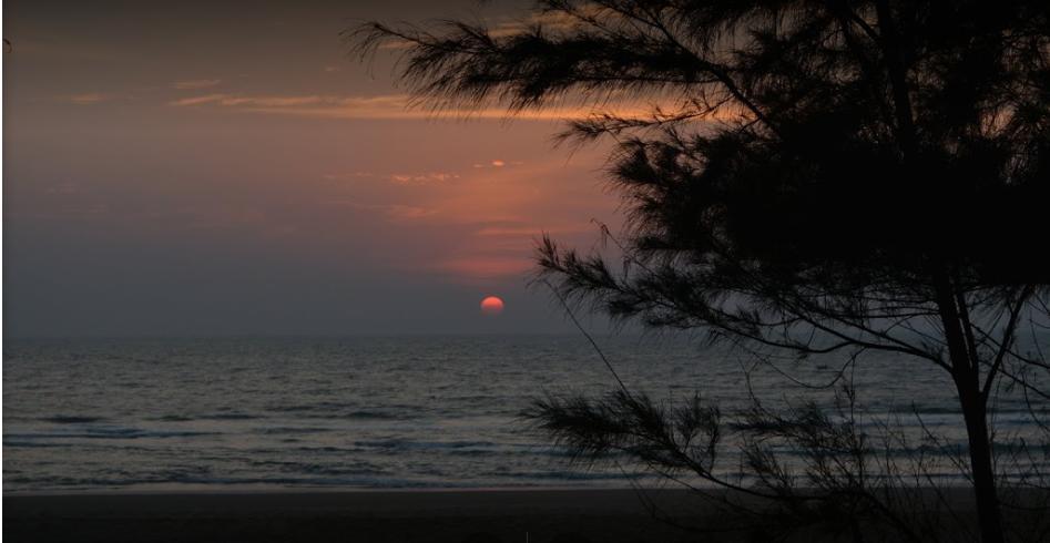 Campcee By Gokarna Adventure Otel Dış mekan fotoğraf